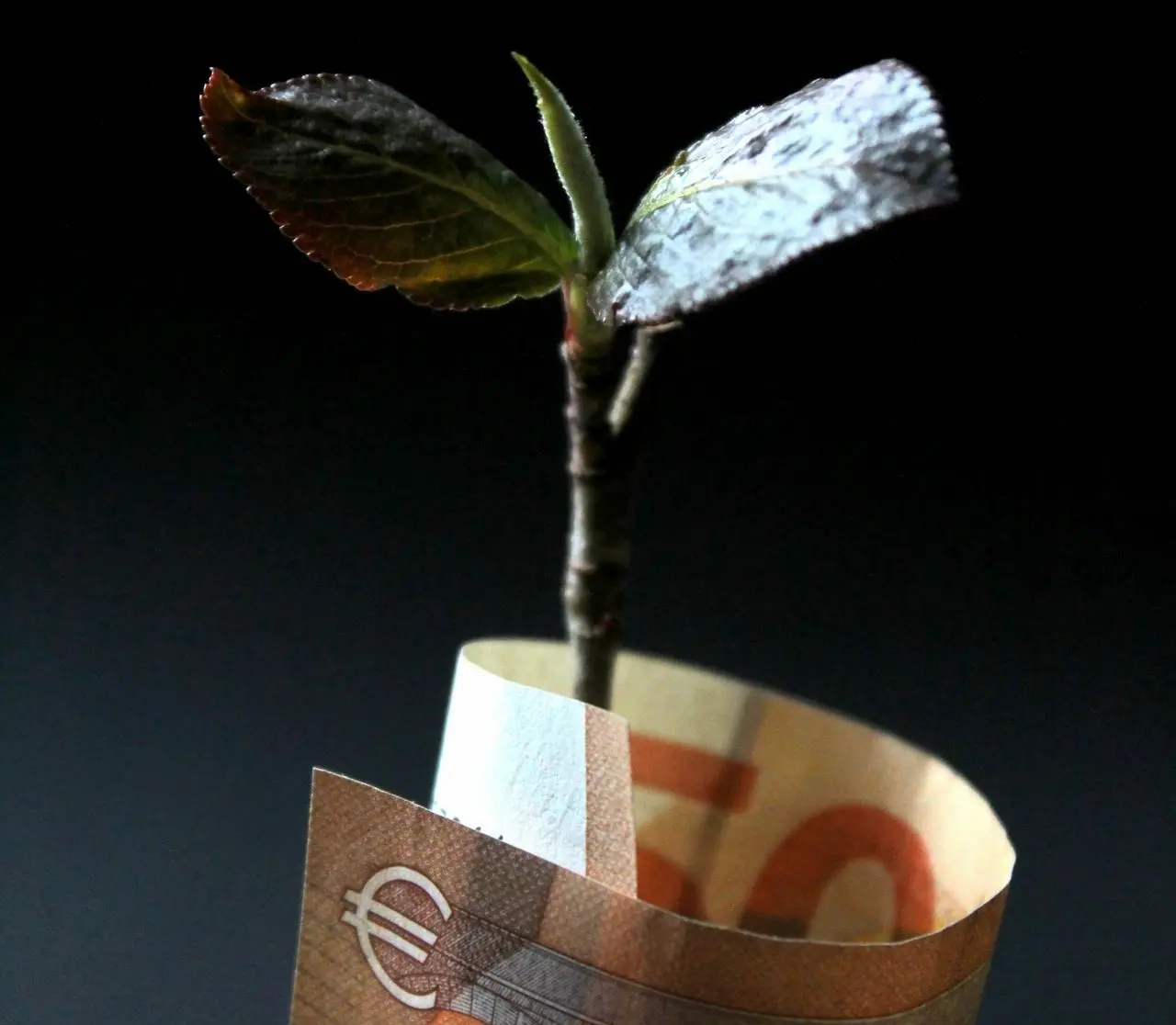 brown and white paper bag